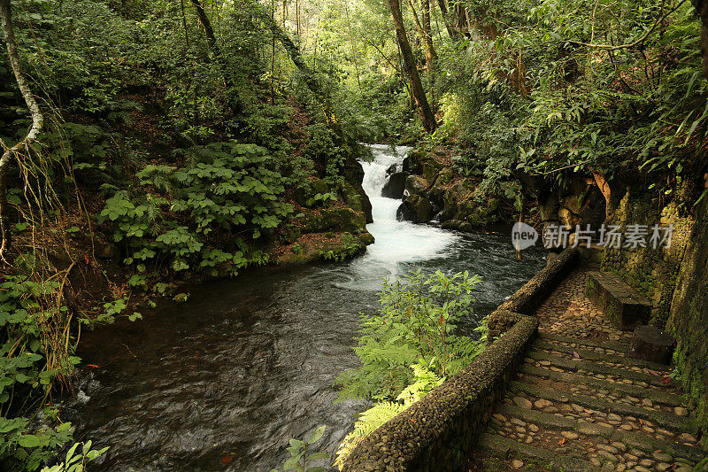 Uruapan, cupatitzi的barranca。